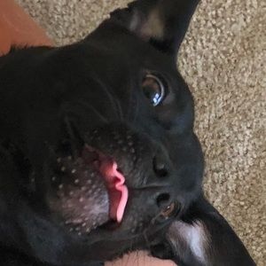 Meet your Posher, Alisa